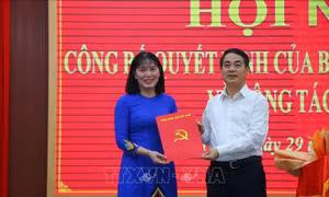 Hậu Giang điều động, luân chuyển nhiều cán bộ lãnh đạo chủ chốt