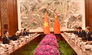 Phó Thủ tướng Hồ Đức Phớc hội đàm với Phó Thủ tướng Quốc vụ viện Trung Quốc