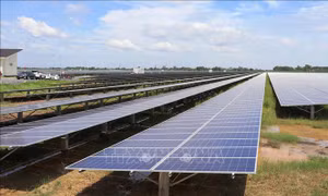Nghị quyết 70-NQ/TW: Năng lượng sạch tạo động lực tăng trưởng mới cho Tây Ninh