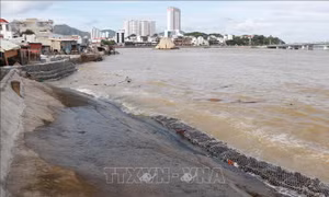 Khánh Hòa tăng cường bảo vệ người dân khu vực có nguy cơ sạt lở, lũ quét