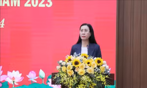 Quảng Ngãi: Tạo chuyển biến tích cực trong công tác xây dựng Đảng