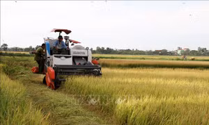 Kỷ niệm 60 năm HTX Đại Phong đón nhận lá cờ đầu nông nghiệp toàn miền Bắc