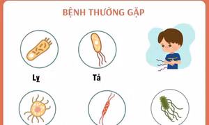 Phòng chống bệnh lây truyền qua đường tiêu hóa