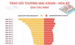 Trao đổi thương mại ASEAN - Hoa Kỳ qua các năm