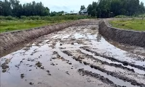 Vụ xây Sân đua bò tại rừng tràm Trà Sư: Kỷ luật khiển trách Giám đốc điểm du lịch