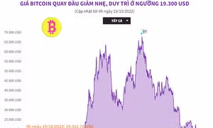 Giá tiền điện tử Bitcoin quay đầu giảm nhẹ, duy trì ở ngưỡng 19.300 USD