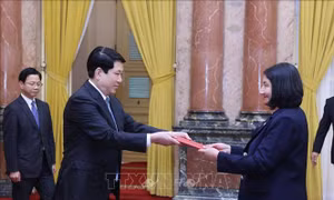 Chủ tịch nước Lương Cường tiếp Đại sứ các nước trình Thư ủy nhiệm