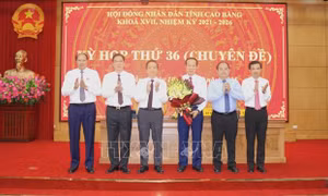 Bầu bổ sung Phó Chủ tịch UBND tỉnh Cao Bằng