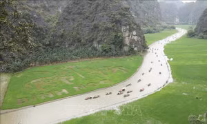 Dệt bức tranh khổ lớn bằng lúa giữa muôn trùng núi non