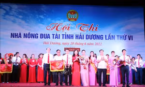Sôi nổi ngày hội đua tài của nông dân Hải Dương