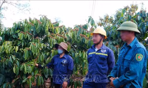 Cần đảm bảo hài hòa quyền lợi người lao động khi thu bảo hiểm xã hội bằng cà phê