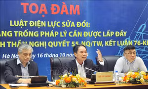 Cần sớm có nghị quyết chuyên đề của Quốc hội về năng lượng mới