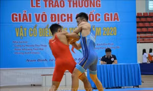 252 VĐV tham dự Giải vô địch quốc gia vật cổ điển, vật tự do 