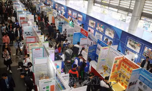 Quy chế mới Cuộc thi nghiên cứu khoa học, kĩ thuật cấp quốc gia dành cho học sinh