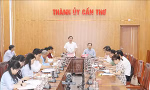 Đẩy nhanh tiến độ triển khai các Chương trình mục tiêu quốc gia