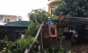 Phú Thọ và Bắc Kạn chịu nhiều thiệt hại do ảnh hưởng của bão số 3