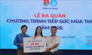 Tỉnh đoàn Cà Mau thành lập 56 đội hình Tiếp sức mùa thi