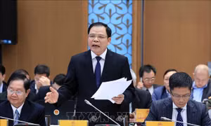 Thị trường là khâu quyết định tăng trưởng ngành nông nghiệp năm 2020