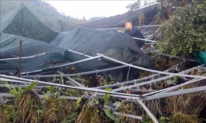 Mưa lớn gây thiệt hại tại huyện Na Hang, Tuyên Quang