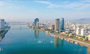 Đà Nẵng: Du khách mắc COVID-19 sẽ khai báo, đăng ký, nhận kết quả trực tuyến