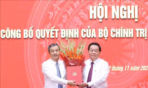 Ông Ngô Đông Hải giữ chức Phó Trưởng Ban Tuyên giáo Trung ương
