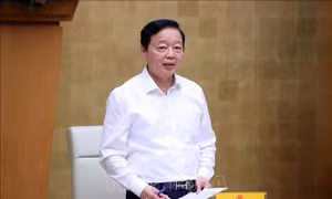 Phó Thủ tướng Trần Hồng Hà: Nghiên cứu hình thức phạt lao động công ích với người vi phạm luật giao thông
