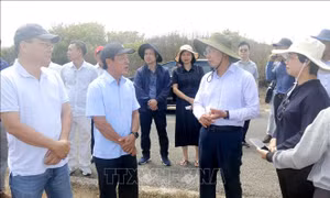 Kết nối sản phẩm du lịch giữa đất liền với đặc khu Phú Quý