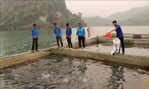 Khơi dậy khát vọng, ý tưởng khởi nghiệp của thanh niên Lai Châu