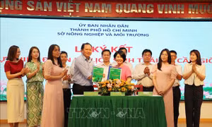 Triển khai dự án du lịch sinh thái đầu tiên tại rừng phòng hộ Cần Giờ