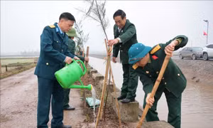 Tết trồng cây: Nét văn hóa đầu Xuân