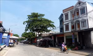 Nhiều đổi thay trên quê hương cách mạng Tân Trào