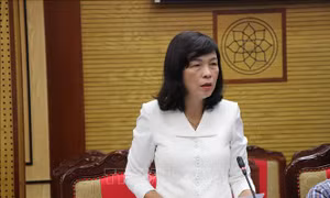 Nghị quyết phê chuẩn kết quả bầu Phó Chủ tịch Hội đồng nhân dân các tỉnh, thành phố