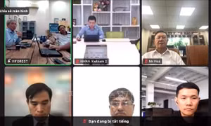 Tiềm năng hợp tác Việt - Ấn về đồ gỗ và nội thất