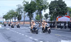 Công an các địa phương đồng loạt ra quân tấn công, trấn áp tội phạm