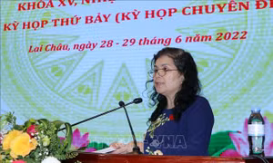 HĐND tỉnh Lai Châu thông qua nhiều nghị quyết thực hiện 3 chương trình mục tiêu quốc gia