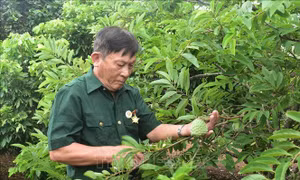 Người thương binh gần 80 tuổi vẫn không ngừng học