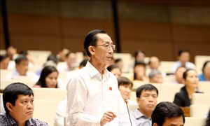 Thúc đẩy tăng trưởng, tạo tiền đề cho phát triển kinh tế năm 2020