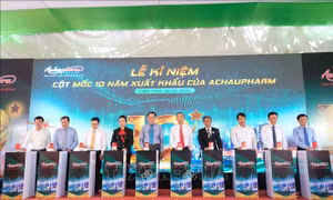 Cấp bách xây dựng vùng chăn nuôi an toàn dịch bệnh đạt tiêu chuẩn thế giới