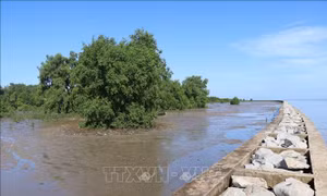 Huy động hơn 17.400 tỷ đồng chống sạt lở bờ biển, bờ sông