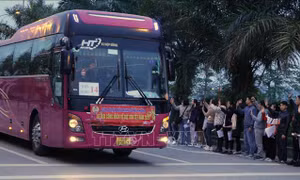 Hải Phòng tổ chức đưa trên 3.300 lao động về quê đón Tết 
