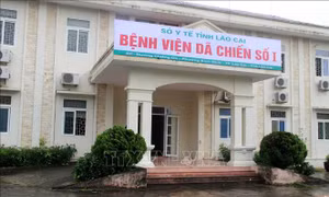 Đưa Bệnh viện dã chiến số 1 tại Lào Cai vào hoạt động 