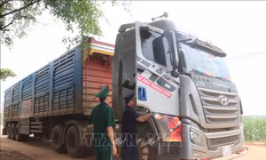 Xây dựng cửa khẩu số, tạo động lực phát triển kinh tế biên mậu