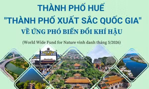 Huế - 'Thành phố xuất sắc quốc gia' về ứng phó biến đổi khí hậu