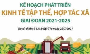 Kế hoạch phát triển kinh tế tập thể, hợp tác xã giai đoạn 2021-2025
