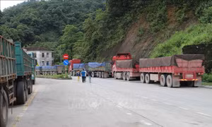Kiểm tra nội dung TTXVN phản ánh về vận tải hàng hóa qua Cửa khẩu Cầu Treo