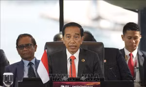 Indonesia chính thức công bố chấm dứt đại dịch COVID-19