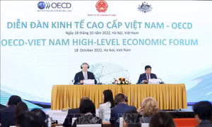 Tăng cường cam kết với Việt Nam là một trong những ưu tiên hàng đầu của OECD