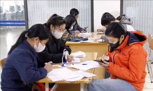 Nhiều cơ hội việc làm cho người lao động dịp Tết 