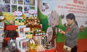 Chất lượng làm nên thương hiệu cho sản phẩm OCOP
