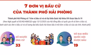 7 đơn vị bầu cử của thành phố Hải Phòng